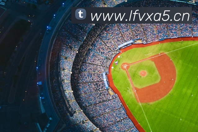 星空最新官方网址平台生态图